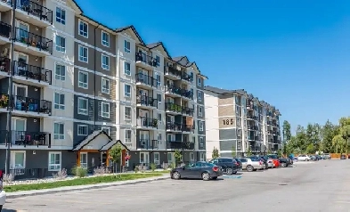 Pet-Friendly Three Bedroom Two Bath with In-suite Laundry for Re Image# 7