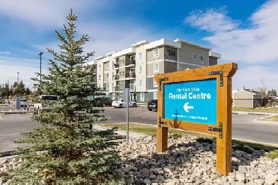 Pet-Friendly One Bedroom One Bath with In-suite Laundry for Rent Image# 13