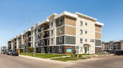 Pet-Friendly Two Bedroom Two Bath with In-suite Laundry for Rent Image# 16