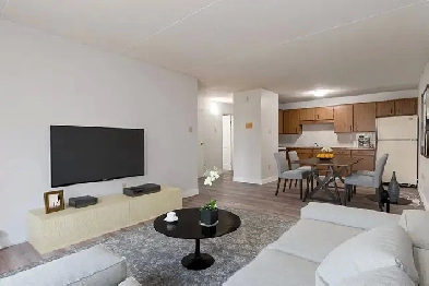 Affordable Apartments for Rent - Palm Road Apartments - Apartmen Image# 8