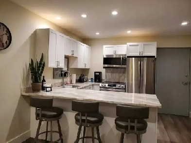Fully furnished one bedroom apartment in Amherstburg Image# 1