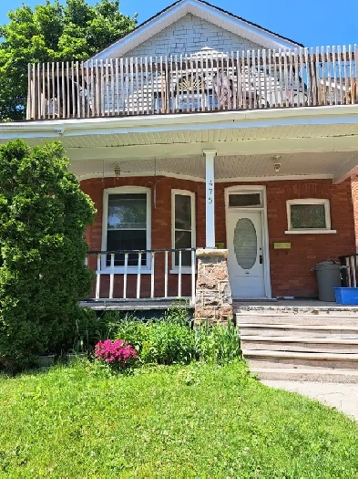 Looking for a roomie. Image# 1