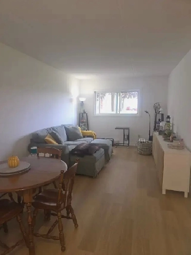 1 Bedroom, 1 Bathroom Apartment in Alliston Image# 1