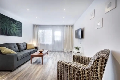Appartement complètement meublé 4 1/2 Image# 3