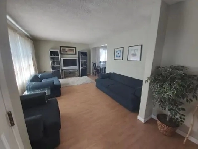 Room for rent Image# 2