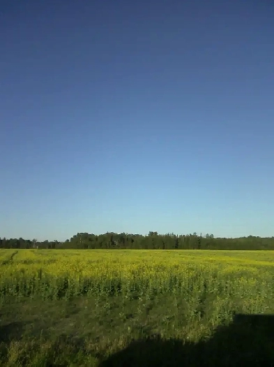 Vacant Land For Sale Image# 3