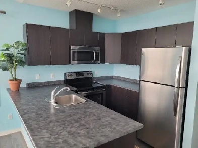 Modern Bachelor Suite – 4th fl Penthouse with insuite laundry Image# 1