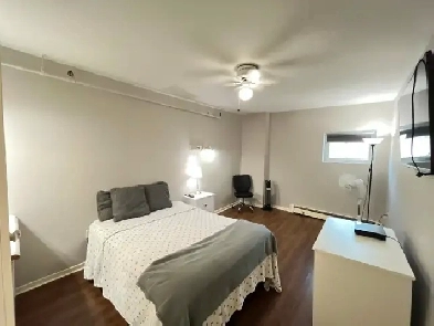 PRIVATE BEDROOM | ALL UTILITIES INCLD | FURNISHED | TOWER RD/DT Image# 3
