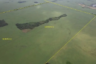 For Sale 5 Quarters Grain Land in RM of McKillop No 220 Image# 1