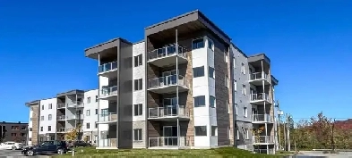 MAGNIFIQUE STUDIO | FLEURIMONT | DISPONIBLE JANVIER 2026 | 865$ Image# 2