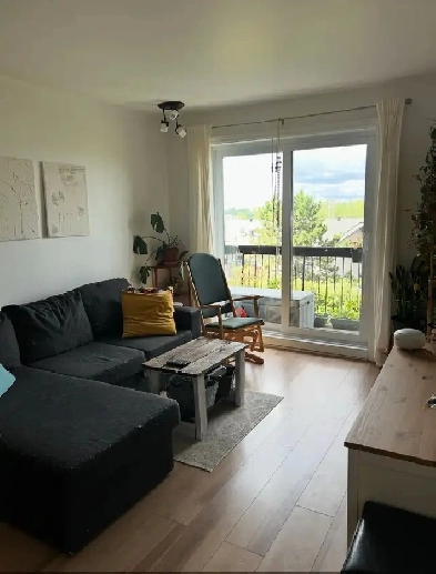 logement à louer style condo 4 1/2  à Longueuil Image# 8