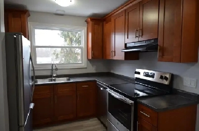 Renovated 1-bedroom - Avail now or Oct - 31 Maple Image# 1