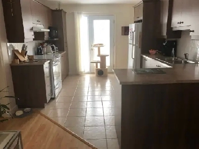 41/2 à louer Image# 1