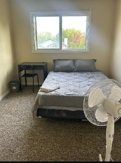 Rooms for rent short time stay near UA/Whyte Ave,all incl. Image# 1