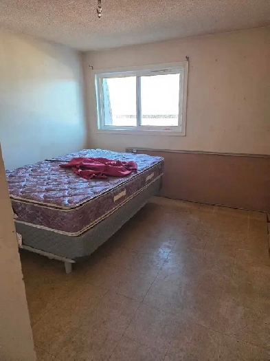 looking to share accommodations with single individual Image# 1