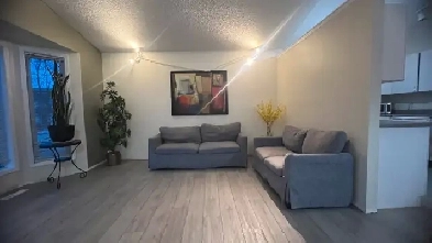 Rooms for Rent For Ladies only Londonderry Mall Image# 2