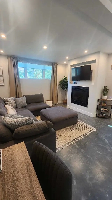 1 Bedroom Lower Level Suite Image# 1