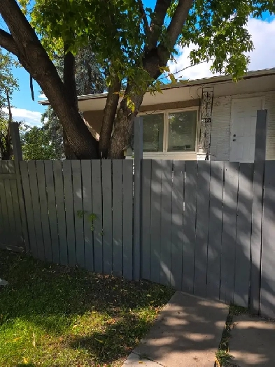 Newly renovated 3 bedroom suite, shared laundry room Image# 18