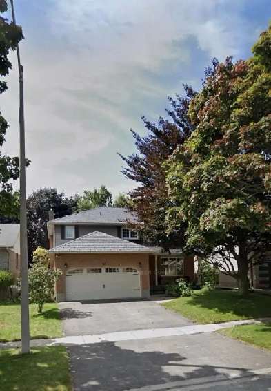 Furnished basement-apartment for rent Image# 3