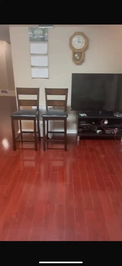 Large one bedroom basement apartment Image# 1