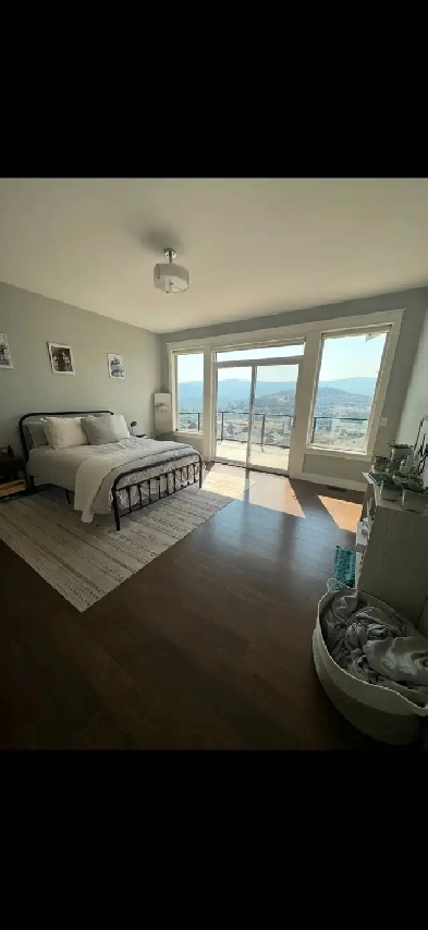 Black mountain house for rent Image# 6