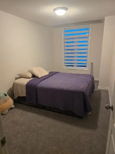 ROOM FOR RENT Image# 1