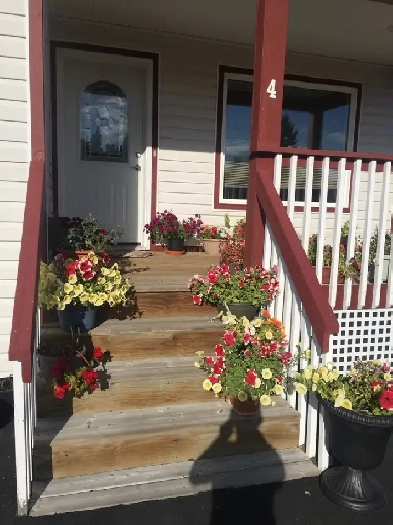 3 bedroom 2 bathroom for rent Image# 1