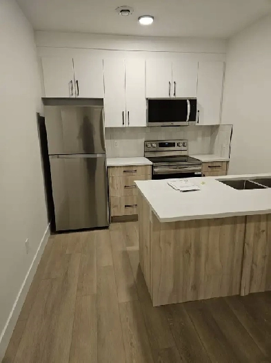 Modern and spacious Basement Suite for rent in NW Edmonton Image# 8