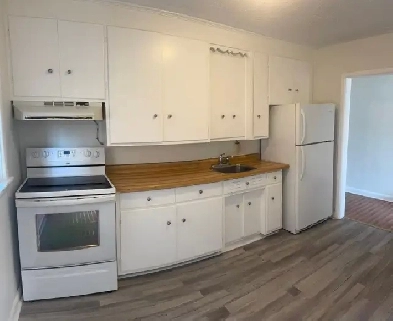 2 bedroom, 1 bathroom ground floor apartment for rent Image# 3