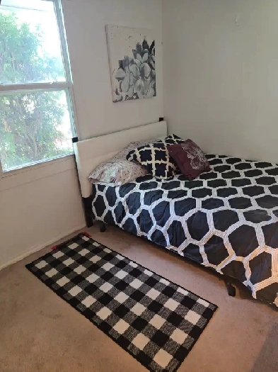 Algonquin College area-room for rent Image# 3