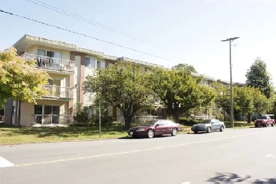 1 bedroom apartment - NOW SHOWING! Image# 1