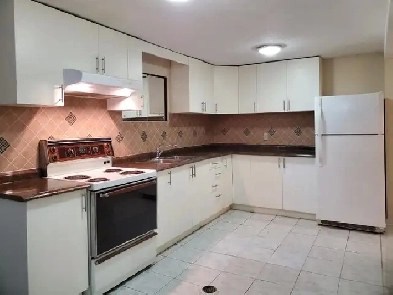 1 BDRM   1 BATH BSMT APT / SEPARATE ENTRANCE / THORNHILL Image# 1