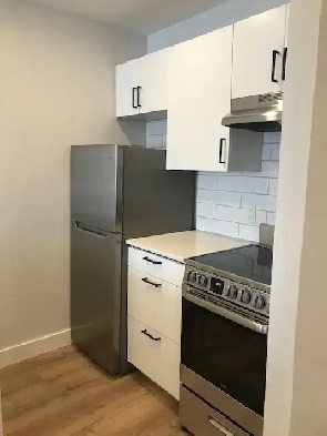 Newly Renovated One Bedroom - OCTOBER 2025 Image# 1