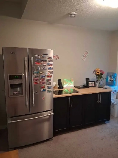 Walk out basement for rent Image# 3