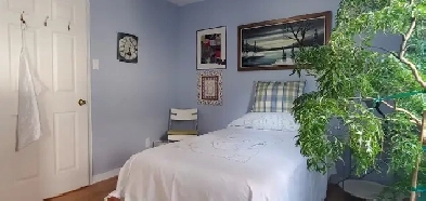 Furnished Room to Rent Image# 2