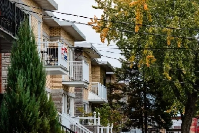 2plex, 3plex, 4plex Image# 1