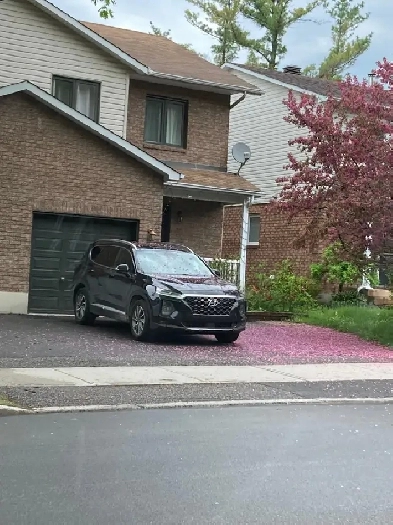Semi-Detached Home for rent (3beds 2 baths) Image# 8