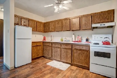 1 Bedroom Owl at Carlton Park - First Month Rent Free! Image# 1