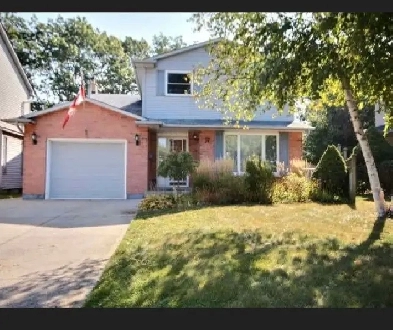 Rooms for rent Image# 10