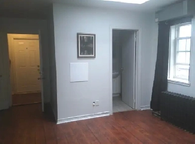 Hamiton E. Jr. 1 Bedroom $1,250.00 incl. available when needed Image# 3