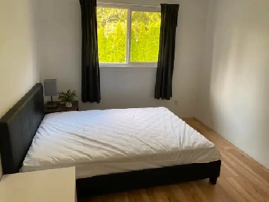 One bedroom for rent Image# 1