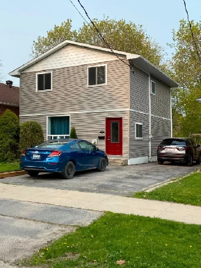 Room for rent in house Kingston Image# 1