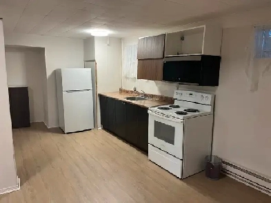 1 Bedroom Basement Unit For Rent Image# 6