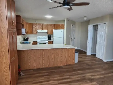 Luxury Apartment for Rent Available immediately Image# 3