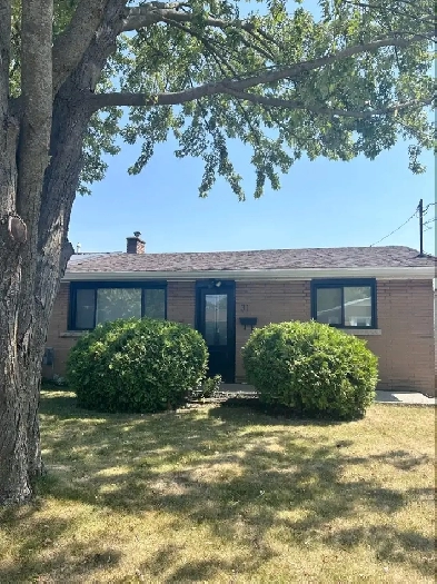 2 Bedroom Bungalow - 31 Daly Street Image# 1