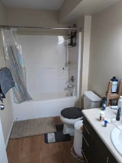 Spare Room for rent Image# 4