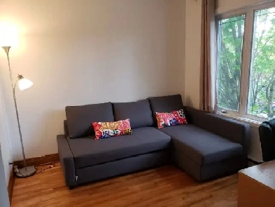 Near Metro Monk. furnished one bedroom apartment. Monthly lease Image# 8