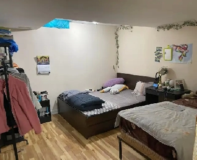 BASEMENT  FOR RENT Image# 1