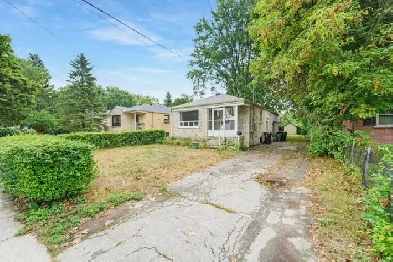 1 Bedroom in Shared Basement near GO Image# 3