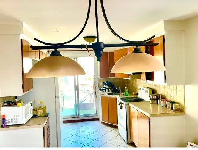 5,1/2 apartment for rent in October 1st  VILL LASALLE.  Near nec Image# 2